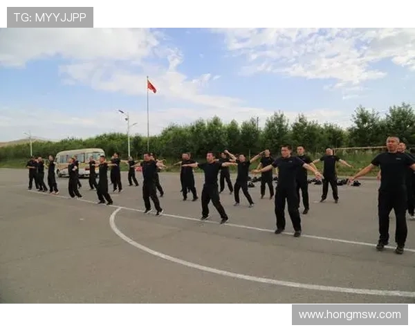 上海排球队阵地战体系解析与战术创新探讨