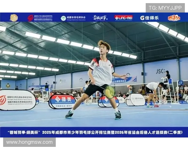 成都羽毛球队实力分析与表现评估：数据透视与未来发展展望