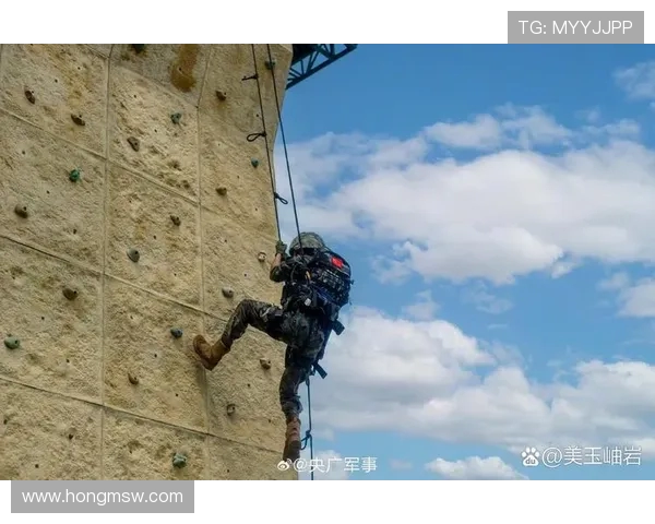 攀岩战术解析：深入探讨上海攀岩队的战术控制与训练体系