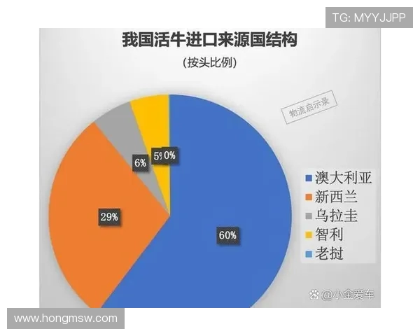 独家解析：WE在行业竞争中的速度优势与挑战全面对比分析