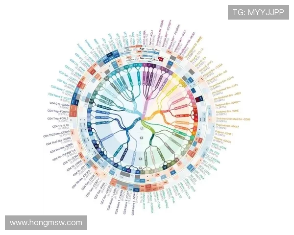 探索当代足球运动员成长路径与赛场精神传承之旅全景观察