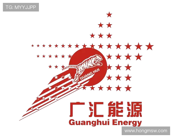 新疆广汇集团发展战略与产业布局探析及未来前景展望