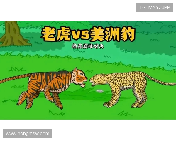 内卡萨与美洲队的激烈对决分析及比赛前瞻